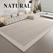 现代简约地毯秋冬ins地毯客厅灰色高级轻奢沙发2024新款卧室地垫