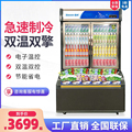 立式冷藏冷冻一体展示冷柜冰淇淋柜超市饮料柜商用冰箱啤酒冰柜