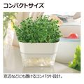 享受无药栽培 水培蔬菜香草桌面小型盆栽 日本产 进口花盆 猫草盆