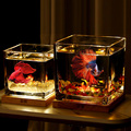 创意超白加厚方形玻璃鱼缸艺术小鱼缸小型客厅家用桌面网红斗鱼缸