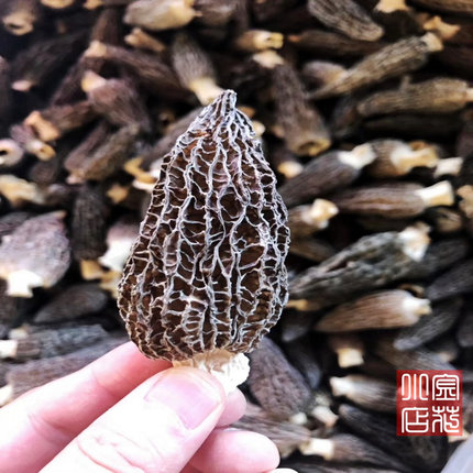 羊肚菌干货云南大理香格里拉土特产食用蘑菇菌菇农产品100克