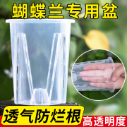 透明青山控根盆水苔蝴蝶兰专用花盆兰花透气大号家用塑料镂空加厚