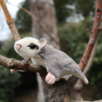 可爱蜜袋鼯毛绒玩具 仿真动物澳洲飞鼠毛绒公仔 娃娃布偶儿童礼物