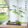 中式枯山水红竹盆景水养苔藓微景观室内桌面米竹办公室老板桌盆栽