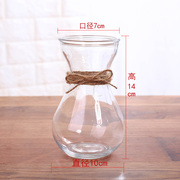 简约水培植物花瓶透明玻璃花盆水养绿萝 风信子 观音竹桌面插花瓶
