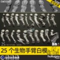 C4D生物人物怪物手臂3D模型FBX白模OBJ建模雕刻ZBrush素材ZTL模型