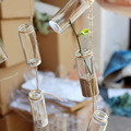 包邮50个小号瓶子迷你小口径花瓶玻璃透明ins风花器水培室内园艺