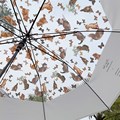 推荐日系油画猫咪蝴蝶透明伞长把伞自动开伞彩色塑料伞雨伞长柄礼