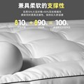 速发酒店床垫软垫褥子家用单人1.2m加厚1米5双人床褥垫被铺底棉絮
