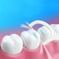 新品Disposable Dental Floss Picks Tooth Stick Interdental Br