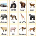 速发Montessori English Learning Cards Toy Animal Flash Card