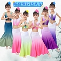 新款儿童傣族舞蹈服装女童孔雀舞表演服少儿鱼尾裙包臀半身练习裙