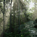 ue4场景雨林灌木精品藤曼大树素材高质量虚幻4森林植物3D模型