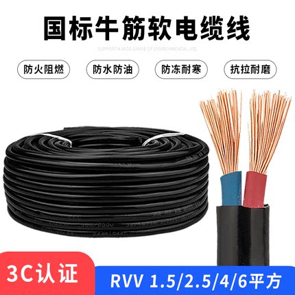 电缆线2芯防水防冻电线软线RVV电源线1.5 2.5 4 6平方家用护套线
