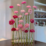 一排花瓶试管玻璃洋牡丹插花鲜花水培透明创意网红花架水养摆件小
