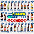 【进口】全球精酿组合罗斯福/白熊/1664/诱惑/ipa/白啤/啤酒24瓶