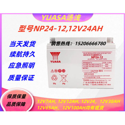 YUASA 12v24ah NP24-12 UPS电源专用汤浅12V24AH蓄电池