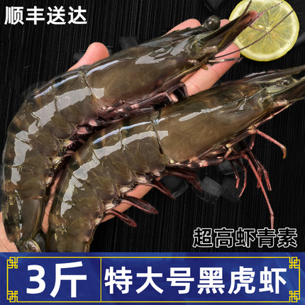 特大号黑虎虾鲜活超大无冰新鲜速冻海鲜水产虾青素斑节虾老虎虾