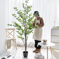 仿真绿植摆件日本吊钟植物马醉木服装店室内客厅装饰假树落地盆栽