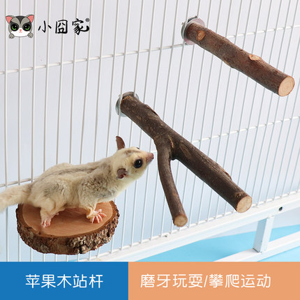 苹果木枝叉跳台树桩吊桥楼梯蜜袋鼯龙猫磨牙仓鼠玩具松鼠玩耍用品