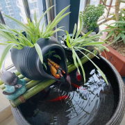 庭院水缸石槽造景鱼缸盆增氧气流水喷泉石槽陶瓷罐搭配件循环