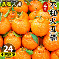 正宗四川不知火丑橘10斤桔子耙耙粑粑八怪柑当季新鲜时令水果整箱