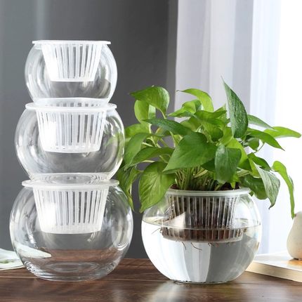 玻璃花瓶透明水养花盆绿植水培器皿容器郁金香绿萝桌面创意小摆件