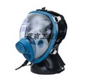 新品新海固HG800防毒面具防毒气防尘喷漆化工用硅胶全面罩面部颗