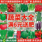 蔬菜种子草莓生菜辣椒番茄西瓜黄瓜香菜阳台盆栽四季种籽子孑大全