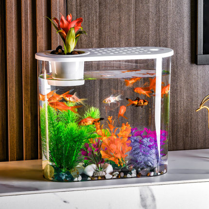 新款塑料透明带盖椭圆形水土培鱼缸客厅办公室桌面小型摆件金鱼缸