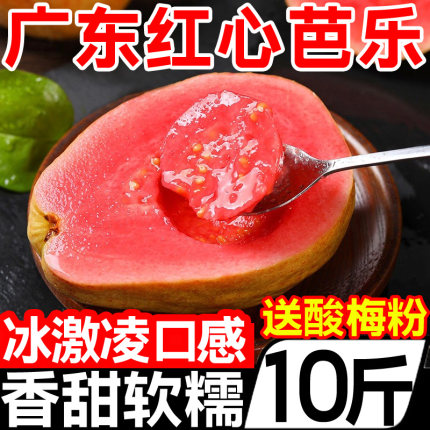 广东本地红心芭乐番石榴5新鲜水果巴乐大果软糯孕妇鲜果包邮特产