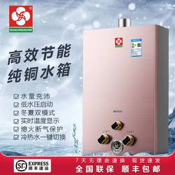 燃气热水器家用煤气液化气天然气强排6/8升10升12/16升铜速热恒温