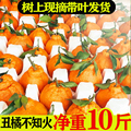 橘子新鲜包邮10斤正宗