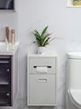 新品不锈钢壁挂式收纳柜置物架明装厕所卫生间马桶旁垃圾桶纸巾架