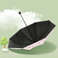 莫兰迪太阳伞可爱少女森系防晒小巧便携晴雨两用甜美雨伞浅蓝色
