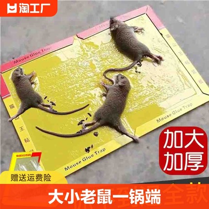30张强力粘鼠板捉粘大老鼠抓灭鼠笼捕鼠夹神器正品家用一窝端黑胶