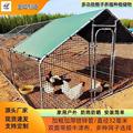 户外鸡棚超特大号鸡笼兔笼鸽子笼孔雀笼防雨鸡棚鸡舍搭建家用养殖