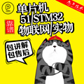 stm32单片机设计定做物联网开发写程序52基于stc51智能小车代做