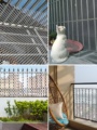 栏网神器防盗防坠网儿童防掉围栏阳台窗户防护塑料网防猫防护网