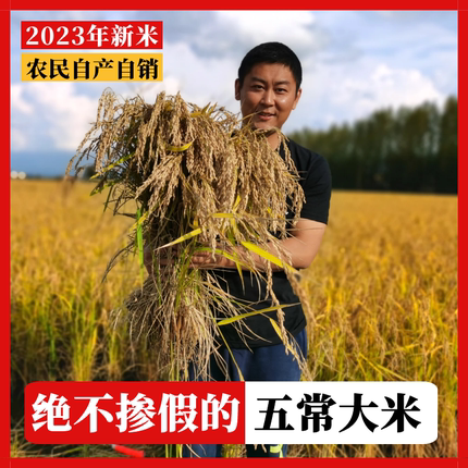 2023年秋季新米五常新米刘铁 粥米 原粮稻花香2号 东北大米