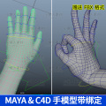 maya手模型素材 c4d手模型骨骼绑定 3d人物手掌手指手臂 fbx-X040