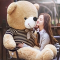大熊毛绒玩具超大号泰迪熊猫公仔抱抱熊1.6米2娃娃狗熊女生送女友