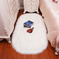 北欧长毛绒床边地毯卧室客厅家用飘窗地垫房间仿羊毛满铺椭圆形