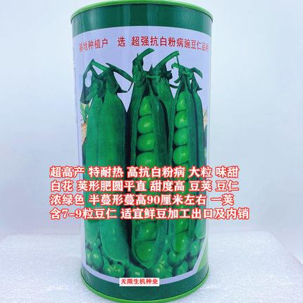 台湾长寿仁豌豆种籽高产春秋播大荚荷兰豆种子四季豌豆尖豌豆种