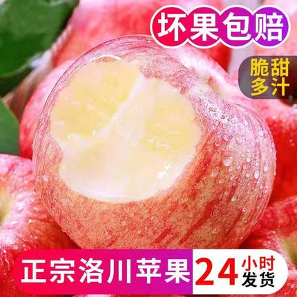 洛川红富士苹果新鲜脆甜多汁不打蜡带皮吃冰糖心苹果水果整箱包邮