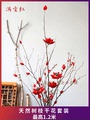 红色干花套装客厅橱窗天然干树枝莲荷花红豆干支新年节日开业花艺