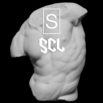 SCL独家 男人体躯干雕塑扩香石摆件 意大利佳迪博物馆级复制模型
