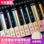 钢琴贴纸88/61/54电子琴通用彩色琴键保护贴键盘音标贴五线谱简谱