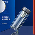 万象（WANXIANG）玻璃杯V32L便携礼盒装中国灰双层泡茶杯315ML商