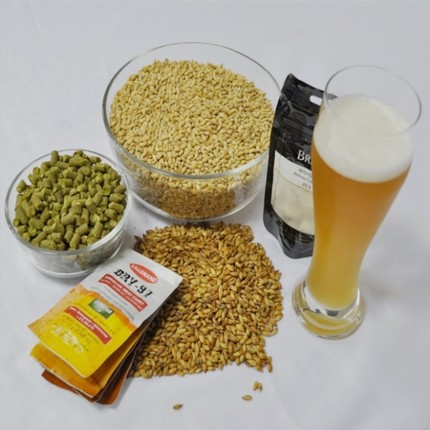 30升啤酒精酿原料包原装进口麦芽酒花酵母送配方酿酒流程